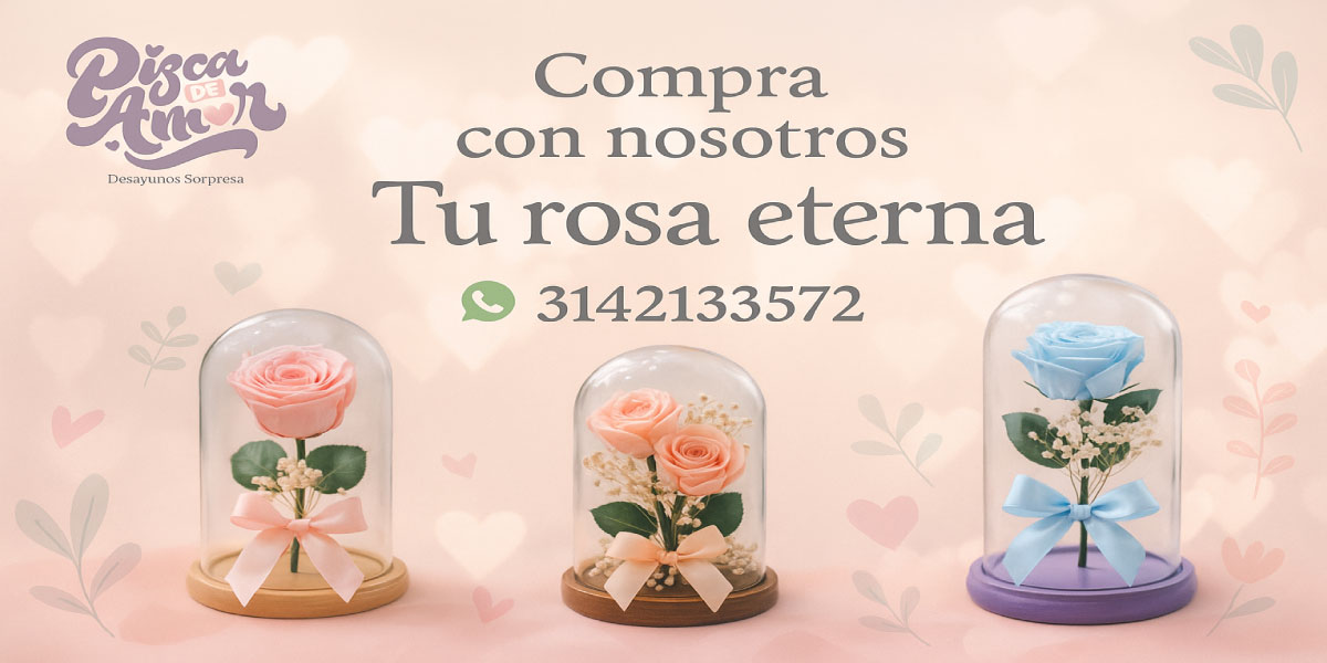 Banner-Pagina-Web-rosa